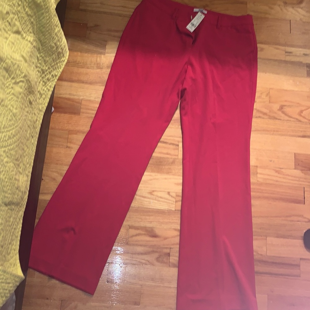 NY & CO Pants